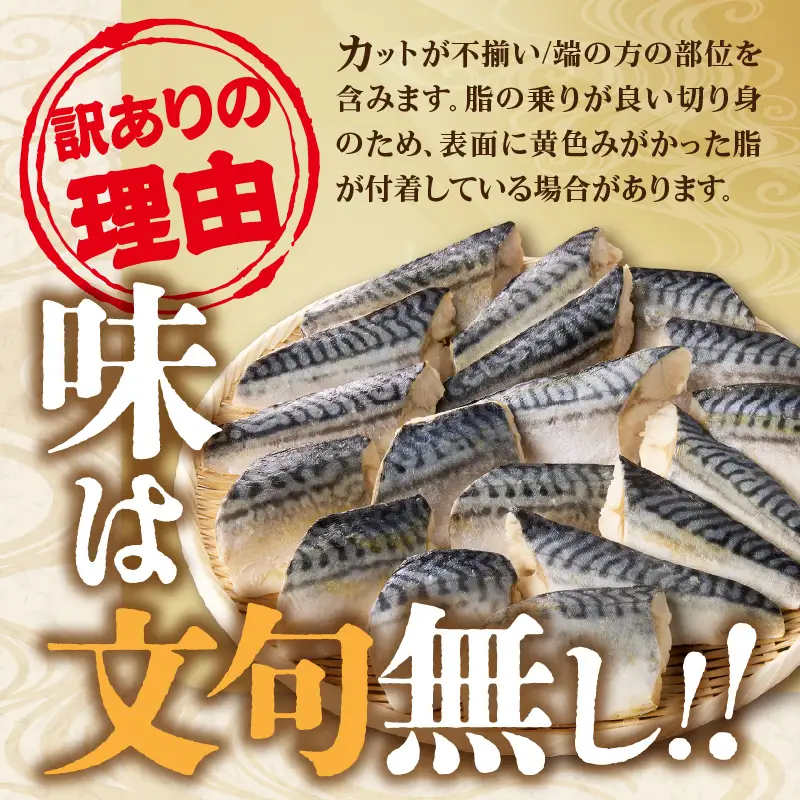 【訳あり】骨取り 塩さば切り身(600gx1袋)【Z9-023】