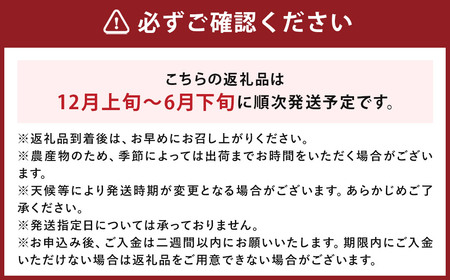 【 7月～11月発送不可 】 ミディトマト はなひめ 3kg 中玉 トマト 福岡県産