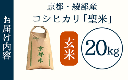 業務用 京都府産コシヒカリ 聖米 玄米20kg | 米 お米 こしひかり 玄米