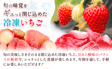 冷凍 あまおう 約2kg 《90日以内に出荷予定(土日祝除く)》福岡県 鞍手郡 小竹町 いちご あまおう フルーツ 果物 冷凍