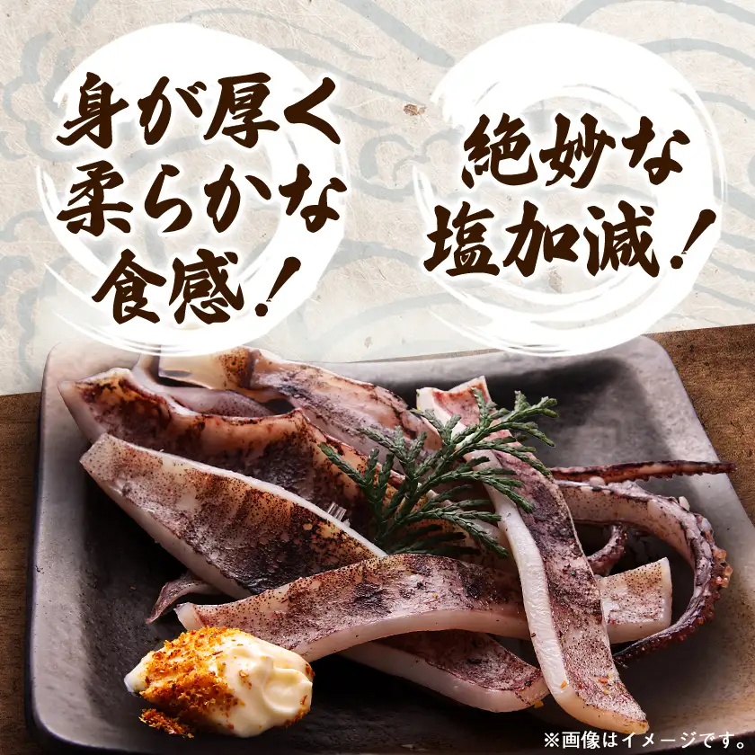 【訳あり】岩手県宮古市産スルメイカの一夜干し　1kg【配送不可地域：離島】【1710689】