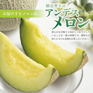SZ0323　アンデスメロン　約3kg(青肉/2玉入/つる付き)