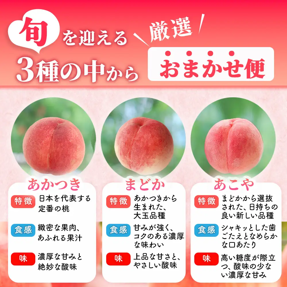 ＜先行予約＞【品種おまかせ】鹿沼市産 もも Lサイズ（2kg） ｜ 桃 モモ もも 栃木県 果物 くだもの フルーツ あかつき まどか あこや 新鮮 贈答 ギフト ※2026年7月下旬～8月中旬頃に順次発送予定 ※北海道・沖縄・離島への配送不可