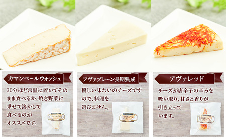 【2ヵ月毎全2回お届け】秋田 羽後 チーズアソート3種4個/熟成セット［明通りチーズ工房］カマンベールウォッシュ・アヴァ（オリジナル）2種【チーズ アソート 詰合せ セット バラエティ カマンベール 乳製品 ワイン 麦酒 ビール 酒】
