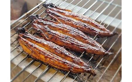 【備長炭で焼く“いい焦がし”】三河一色産うなぎの蒲焼5尾 鰻 ウナギ たれ タレ 国産 備長炭 土用 丑の日 冷凍 三河一色産 H189-014