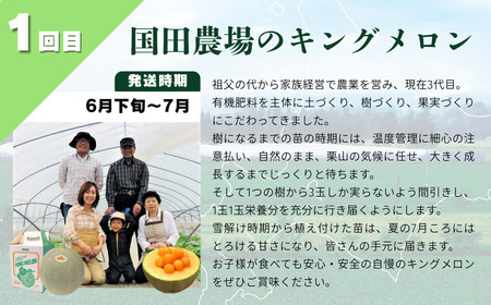 北海道産赤肉メロン3種定期便（1玉×3回）