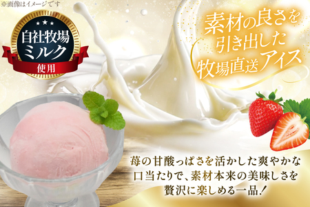 テレビで紹介！ アイス ジェラート ストロベリー 1L ファミリーサイズ [岩瀬牧場 北海道 砂川市 12260968]