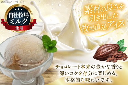 テレビで紹介！ アイス ジェラート チョコココア 1L ファミリーサイズ ジャンボサイズ [岩瀬牧場 北海道 砂川市 12260966]