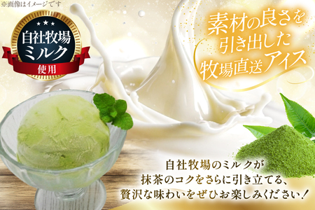テレビで紹介！ アイス ジェラート 抹茶 1L ファミリーサイズ ジャンボサイズ [岩瀬牧場 北海道 砂川市 12260965]