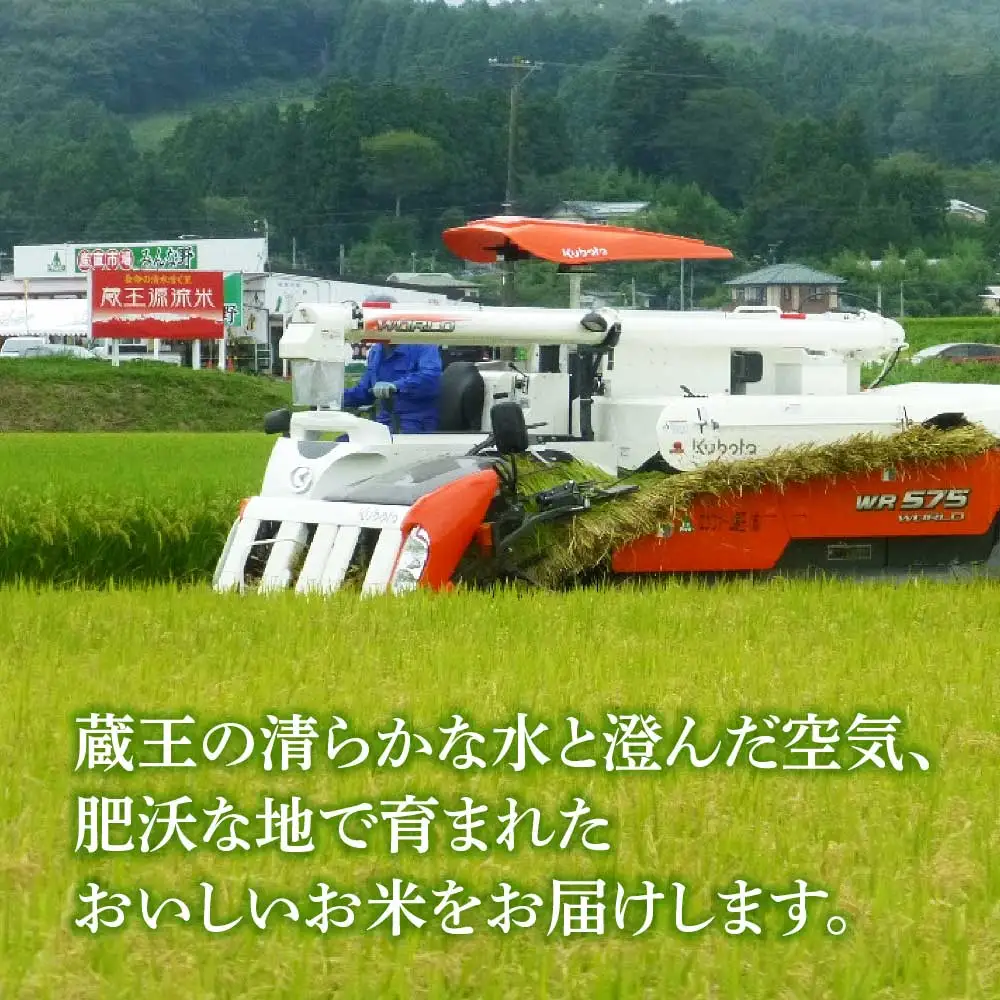 【3か月定期便】＜令和7年産米＞蔵王源流米ひとめぼれ5kg×3回 (全15kg)　【04301-0162】