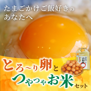 上毛町産の「たまごかけご飯セット」（卵40個・米3kg）（専用醤油なし版） _C01807