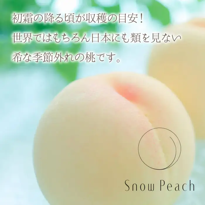 【2026年発送★先行予約】Snow Peach （大玉５～６個入り）208-003