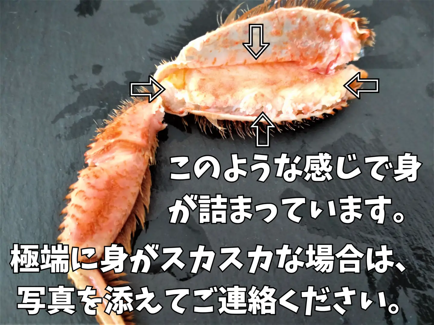 ボイル毛ガニ　350g　１尾（茹で冷凍）【けがに　ケガニ　毛蟹　毛がに　カニ　太平洋　北海道　広尾町　冷凍　ボイル　海鮮　グルメ】(0102)