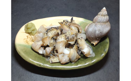 ボイルエゾバイ　500g【エゾバイ　磯つぶ　イソツブ　つぶ貝　ツブガイ　簡単　便利　冷凍　茹で　国産　太平洋産　北海道産】(0110)