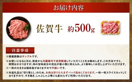 【2025年9月初登場】 佐賀牛 リッチな霜降り 大判 切り落とし 500g  ／ 黒毛和牛 黒毛和種 和牛 牛肉 お肉 肉 霜降り 九州 福岡県 太宰府市 冷凍