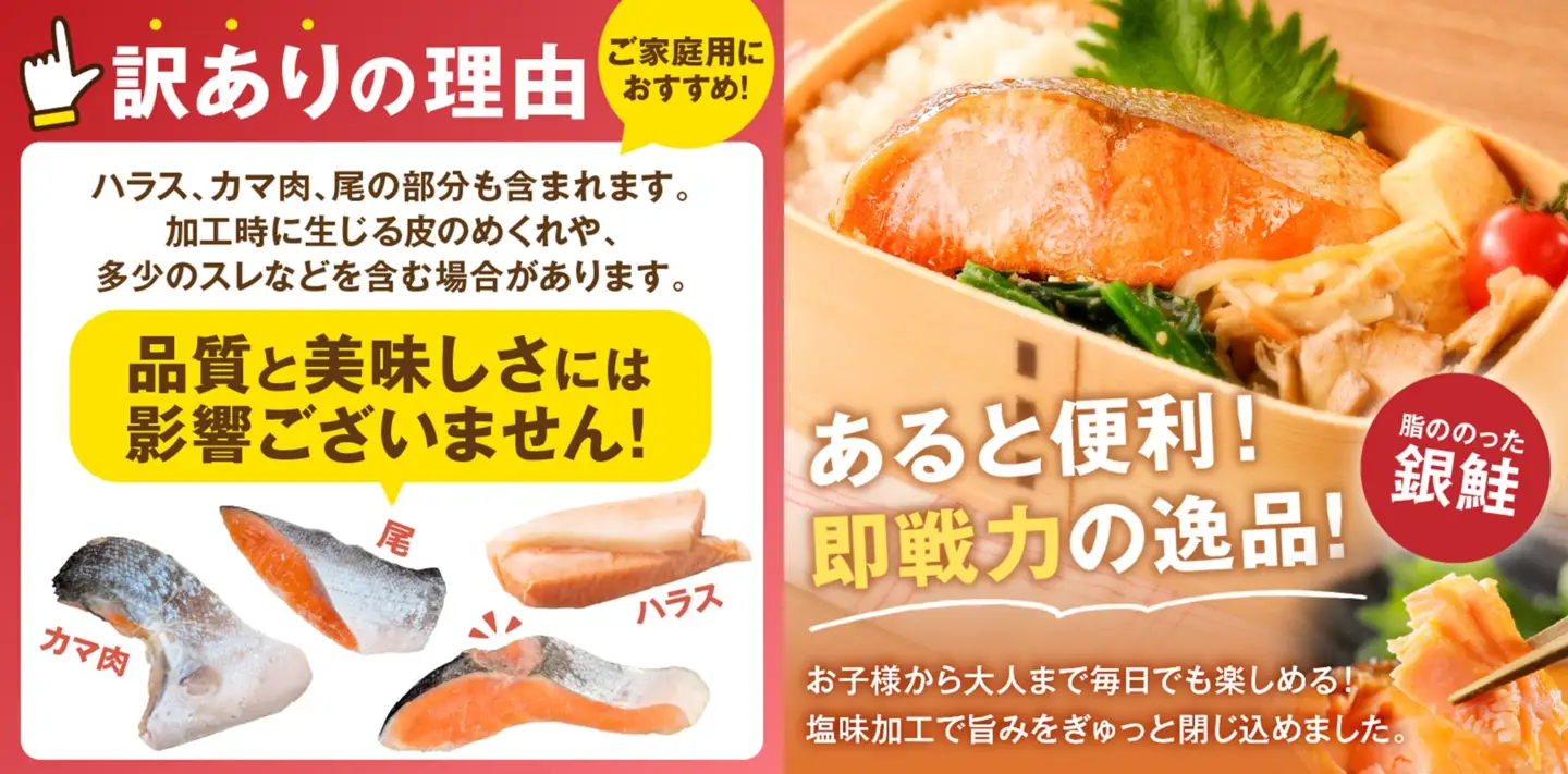 【訳あり】塩銀鮭切り身 甘塩仕立て(1.6kg)【隔月定期便(計2回発送)】【C-173】