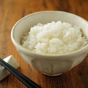 令和8年産 米 きぬむすめ 岡山市産 精米 (15kg × 1袋 )