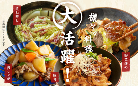 【ふるなび限定】 【定期便全2回】 九州産豚肉の日常使い定期便 (2ヵ月連続・計3.75kg) FN-Limited-SP t0025-001