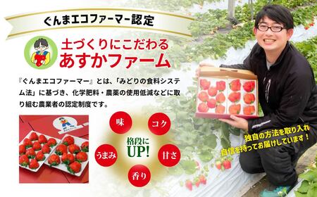 いちご やよいひめ 500g × 1パック いちご 群馬県 前橋市