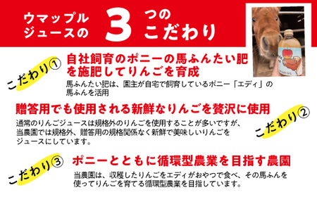 【 自社飼育 馬ふんたい肥 使用 】  UMAPPLEジュース ウマップルジュース りんごジュース 1000ml × 3本 酸化防止剤不使用 果汁100% 合同会社馬と 沖縄県への配送不可 飲料 果汁飲料 りんご リンゴ 林檎 ( サンふじ あいかの香り 王林 ) ジュース 信州 農家直送 ポニー エディ 長野県 飯綱町 [2070]