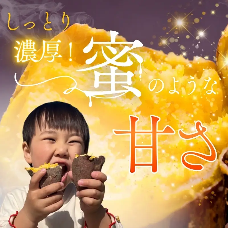 【2026年11月発送分先行予約！】紅はるか さつまいも 10kg