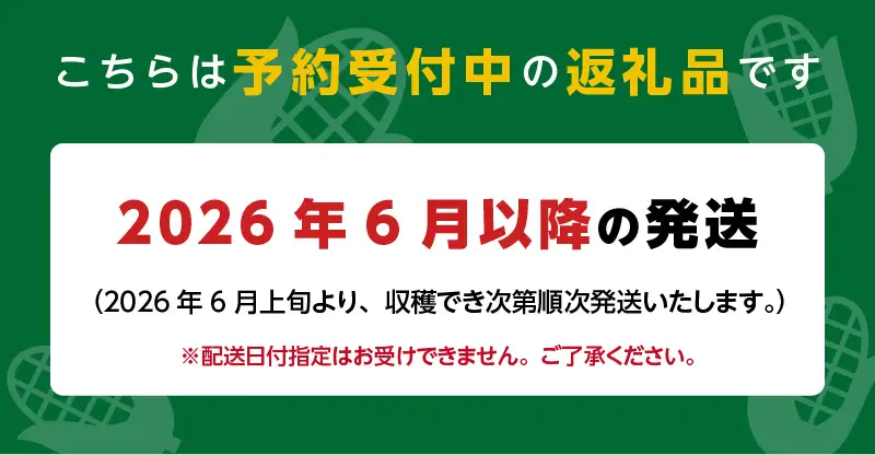 朝採れを直送！スイートコーン【ゴールドラッシュネオ】7kg（15本以上）_とうもろこし 7kg 15本以上 朝採れ スイートコーン 農家直送 ゴールドラッシュネオ 甘い 1年のうちの1ヶ月しか味わえない まるでフルーツ Sueyasu farm 新鮮 粒皮がやわらかい 焼きとうもろこし コーン 末安農園 福岡県 久留米市 お取り寄せ 野菜 送料無料 〔Gv013〕