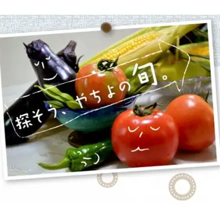 千葉県八千代市 農産物直売所クラフト直送 旬の野菜セット【配送不可地域：離島・沖縄県】【1700413】