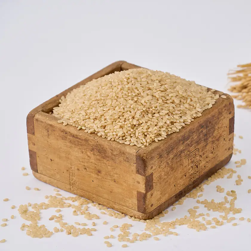 【軽やかな甘みと食べやすさ】石川県野々市市産ハナエチゼン令和7年産玄米 3kg【1685131】