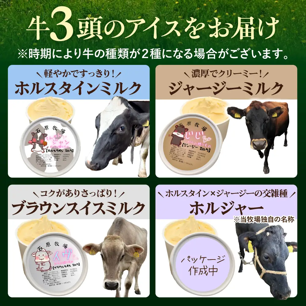 牛で選べるアイスクリーム80ml×6個《牛3頭セット、品種2～3種》