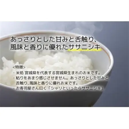 【ささにしき】宮城県産 令和7年産 精米 5kg(5kg×1袋)【1700760】