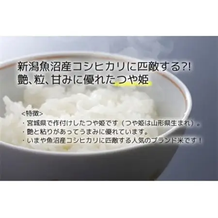 【つや姫】宮城県産 令和7年産 精米 10kg(5kg×2袋)【1700764】