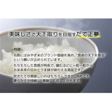 【だて正夢】宮城県産 令和7年産 精米 10kg(5kg×2袋)【1700766】