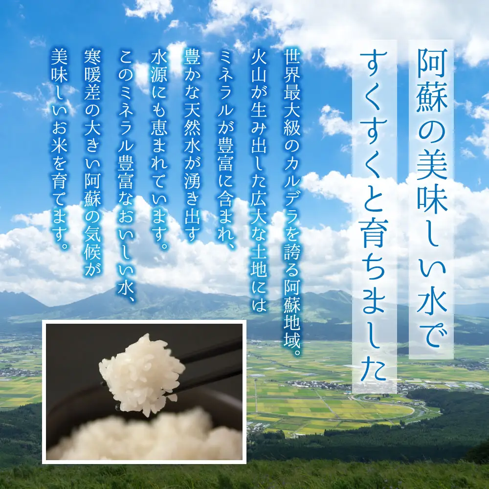 特別栽培米 ミルキークイーン5kg（アグロスタイル） 精米 白米 米 阿蘇市
