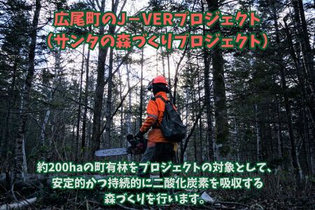 広尾町Ｊ-クレジットCO2削減量　5t【Ｊクレジット　Ｊ－ＶＥＲ　カーボンオフセット　二酸化炭素　排出削減　環境保護　環境保全　森林環境　森林保全　エコ　二酸化炭素吸収　温室効果ガス削減　北海道　ふるさと納税】(0116)