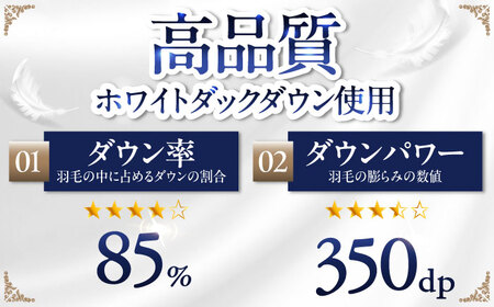 【お中元対象】【訳あり】【糸島羽毛ふとん】【シングル】 羽毛 肌掛け 布団 柄おまかせ ダウン85% 糸島市 / 株式会社三樹[AYM022]