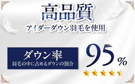 【お中元対象】【糸島羽毛ふとん】【アイスランド特別保護鳥使用】【セミダブル】 羽毛 布団 本掛け ベージュ アイダーダウン95% 糸島市 / 株式会社三樹 / 布団 羽毛[AYM024]