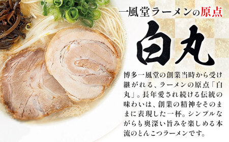ラーメン 一風堂 白丸 ラー麦麺 12食 地域商社ふるさぽ《90日以内に出荷予定(土日祝除く)》福岡県 鞍手郡 小竹町 ラーメン とんこつ 豚骨スープ 豚骨ラーメン ラー麦 麺