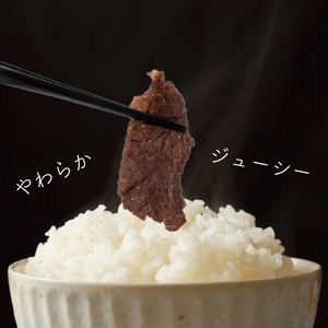 牛 ハラミ 秘伝のタレ 味付け 1.2kg ( 300g×4パック )