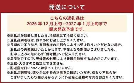 絢音ベリー農園 ＂絢＂ いちご 500g （250g×2P）先行予約【2026年12月上旬発送開始】 ゆうべに 高級 フルーツ ギフト 厳選 希少