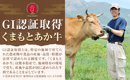 GI認証 くまもとあか牛 ミンチ 合計1.6kg(200g×8パック) 民宿 山の里《60日以内に出荷予定(土日祝除く)》熊本県 産山村 あか牛 パック おかず 夕飯