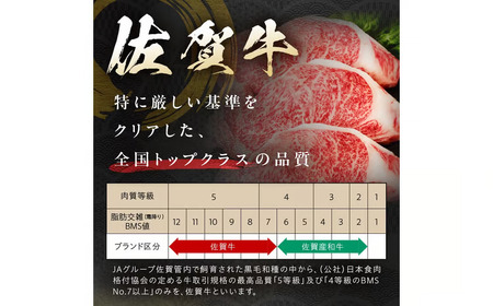 ハンバーグ 5個 佐賀牛ハンバーグ 212-J1790