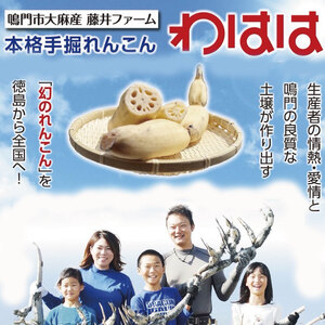 鳴門れんこん 2kg れんこん