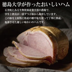 徳島大学 熟成ロースハム ベーコン セット 500g ハム