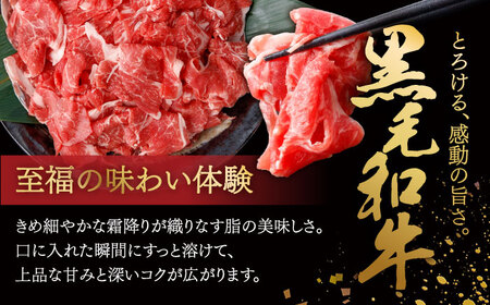 【6回定期便】国産 黒毛和牛 熟成肉 切り落とし 500g / 小分け 国産牛 お肉 牛肉 切落し 冷凍 焼肉 すき焼き / 南島原市 / ふるさと企画[SBA098]
