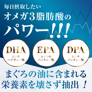 b120-045　【定期便12回】まぐろ非加熱眼窩脂肪油DHA EPAサプリメント：120粒／1袋×12ヶ月