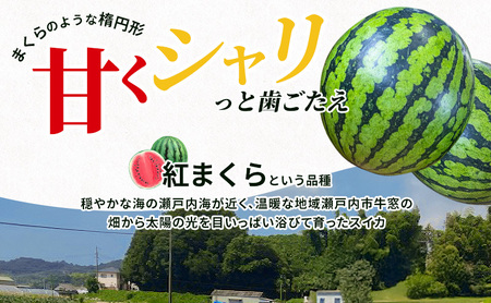 スイカ 瀬戸内市牛窓産 1玉(約7～9kg)  スイカ