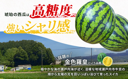スイカ 瀬戸内市牛窓産 琥珀の西瓜 黄色 1玉(約7～9kg)  スイカ