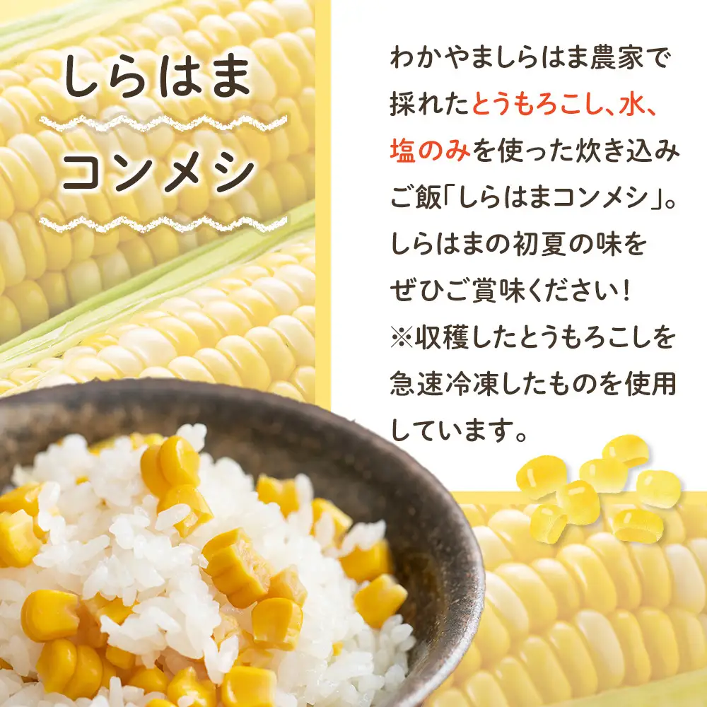 しらはまコンメシ 4袋 セット わかやましらはま農家 特製 炊き込みご飯の素