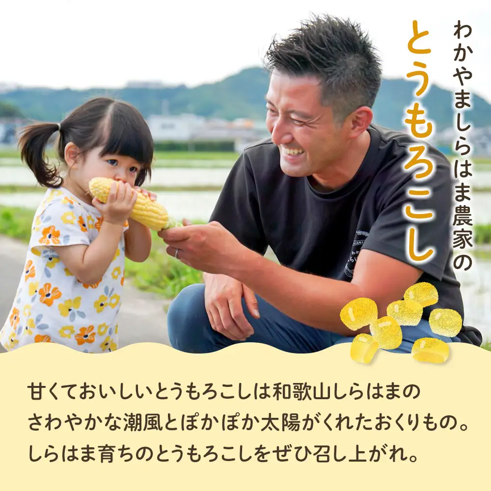 ［先行予約］しらはま農家 とうもろこし Lサイズ24本 ［2026年6月発送予定］