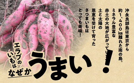 erabu chips （ さつまいも ） 2箱 セット C068-002-02 ポテトチップス 菓子 お菓子 アレルゲンフリー